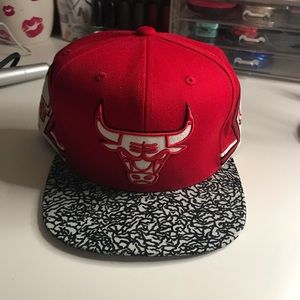 Bulls Fitted